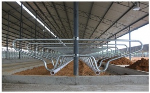 00-00000478_Картинка с сайта